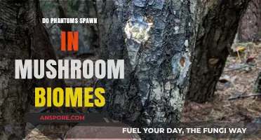 Phantom Spawning: Mushroom Biome Mystery