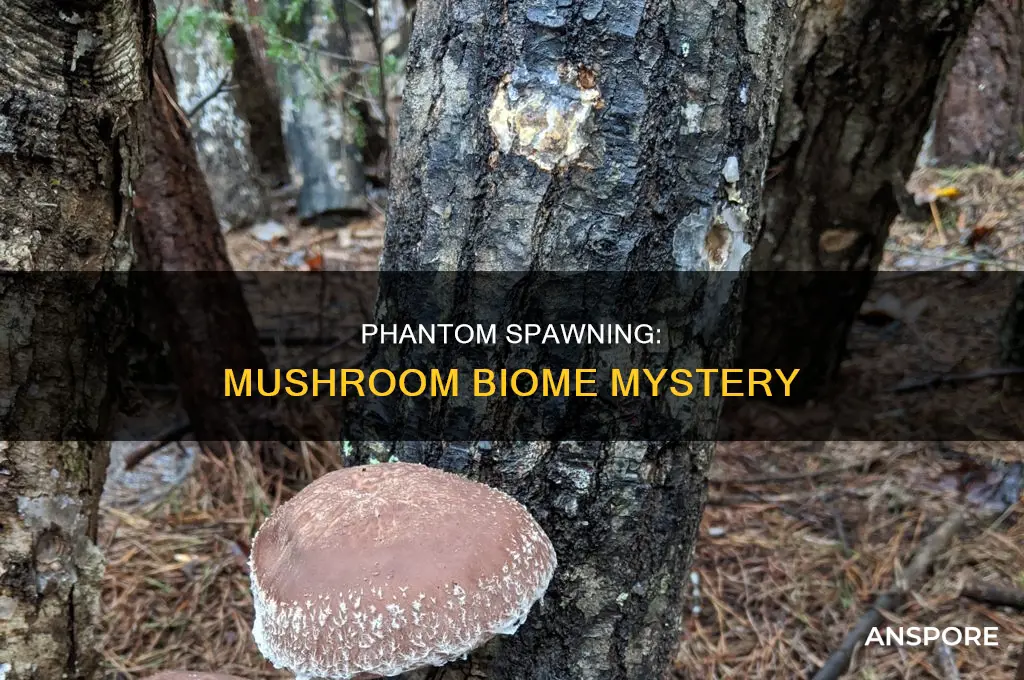 do phantoms spawn in mushroom biomes