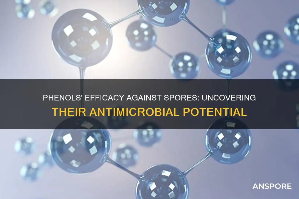 do phenols kill spores