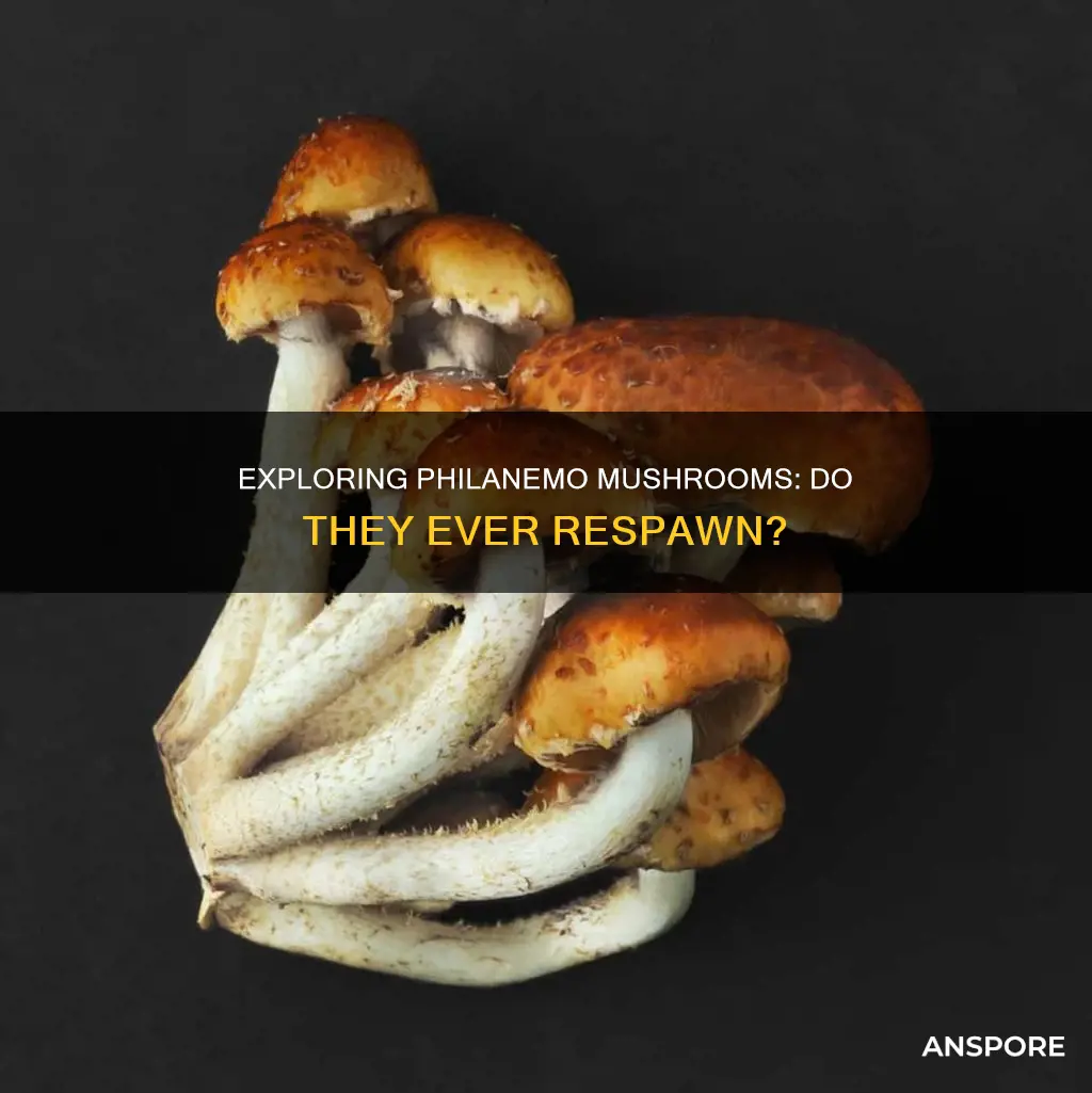 do philanemo mushrooms respawn