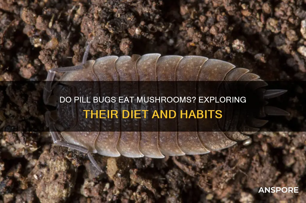 do pill bugs eat mushrooms