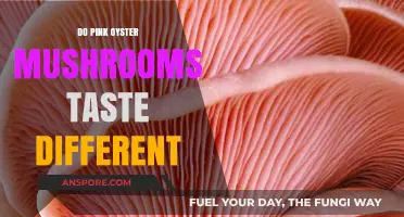Pink Oyster Mushrooms: Unique Taste or Gimmick?