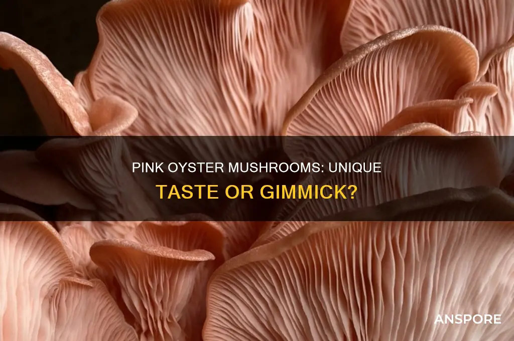 do pink oyster mushrooms taste different