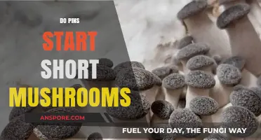 How Pins Spur Mushroom Growth