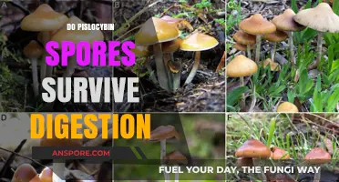 Can Psilocybin Spores Survive Digestion? Exploring the Science Behind It