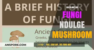 Plants vs Fungi: Who Indulges in Mushrooms?