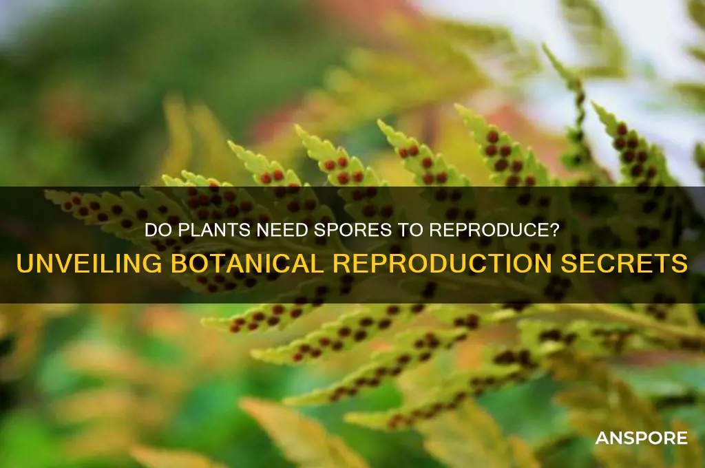 do plants need spores to reproduce