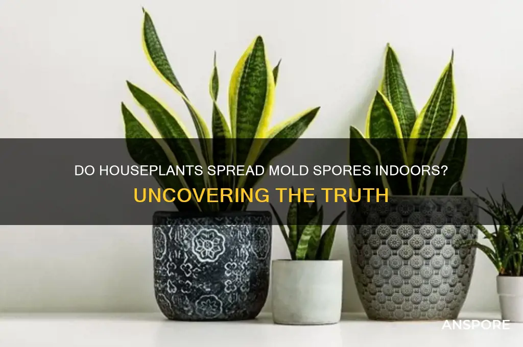 do plants release mold spores into the home