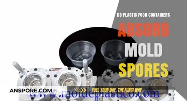 Can Plastic Food Containers Absorb Mold Spores? Facts and Risks