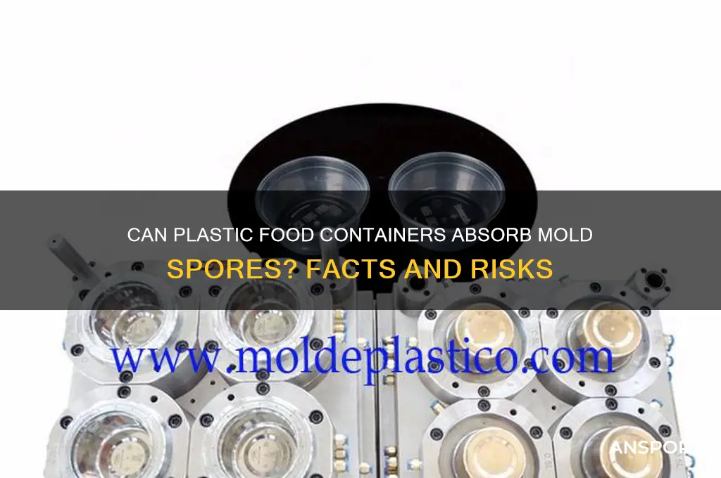 do plastic food containers absorb mold spores