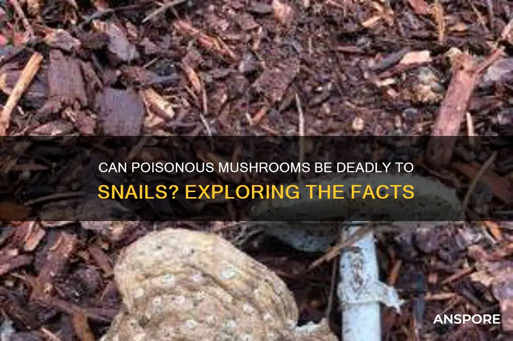 do poison mushrooms kill snails