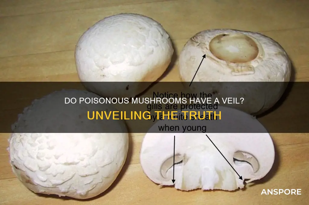 do poisonous mushrooms have a veil