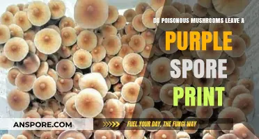 Purple Spore Prints: Unveiling the Truth About Poisonous Mushrooms