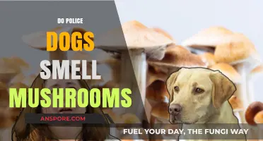 Police Dogs and Mushroom Scents: A Sniffing Mystery