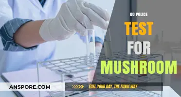 Mushrooms and the Law: Do Police Test for Them?