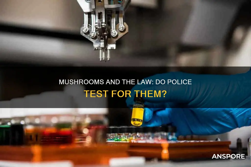 do police test for mushrooms