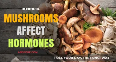 Portabella Mushrooms: Do They Mess With Your Hormones?