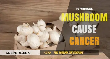 Portabella Mushrooms: Cancer Causers or Not?