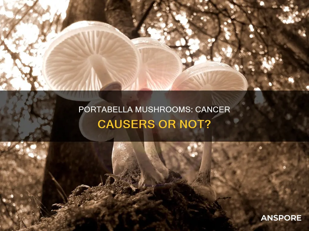 do portabella mushrooms cause cancer