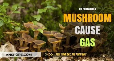 Portabella Mushrooms and Gas: What's the Deal?