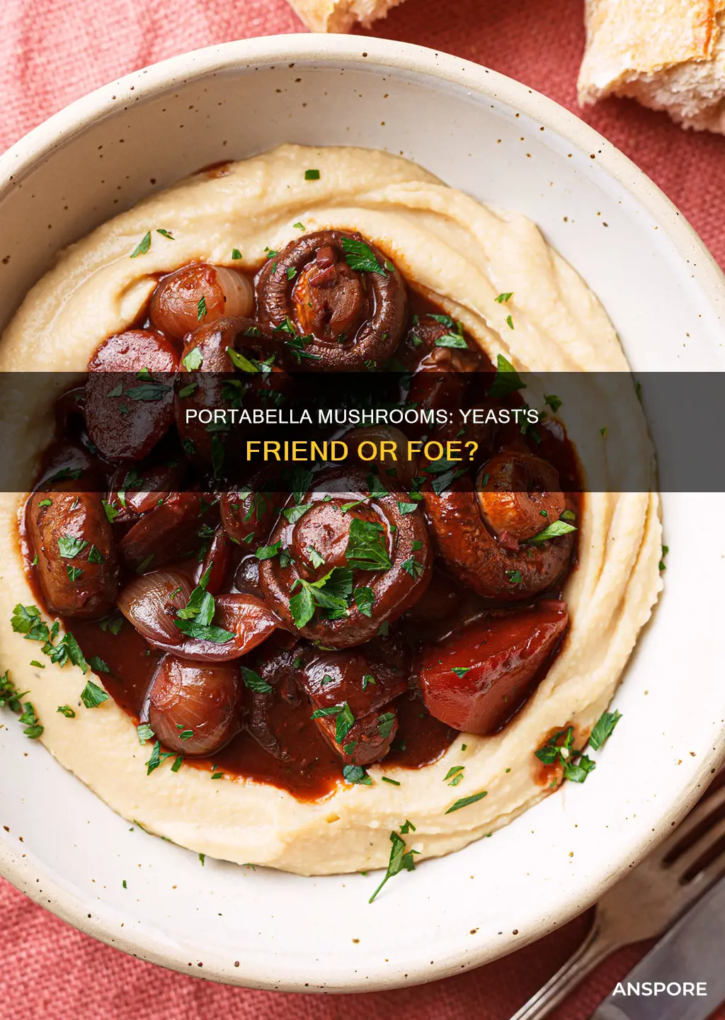 do portabella mushrooms feed yeast