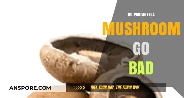 Do Portabella Mushrooms Go Bad? Shelf Life and Storage Tips