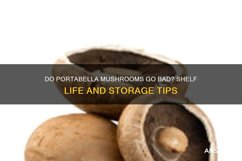 do portabella mushrooms go bad