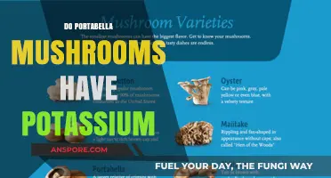 Portabella Mushrooms: Are They Rich in Potassium?