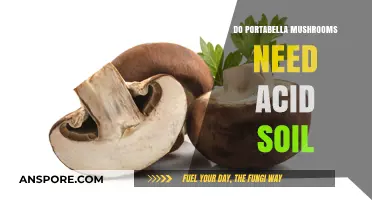 Portabella Mushrooms: Acidic Soil Requirements and Recommendations