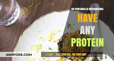 Portabello Mushrooms: Are They a Protein Source?
