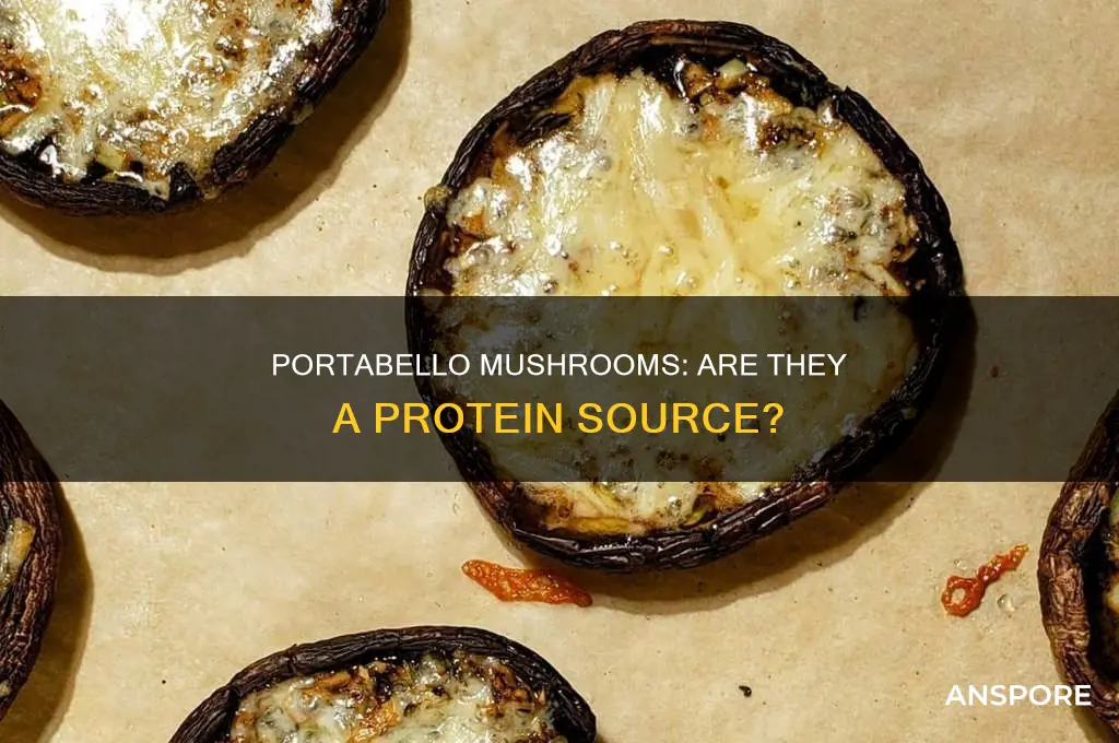 do portabello mushrooms have any protein