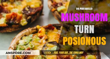 Portabello Mushrooms: Poisonous Transformation?