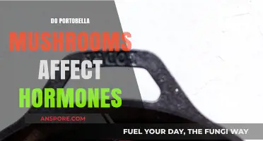Portobello Mushrooms and Hormones: Unveiling Their Surprising Impact on Your Body