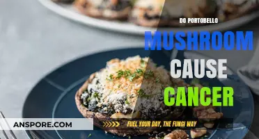 Portobello Mushrooms and Cancer: Separating Fact from Fiction