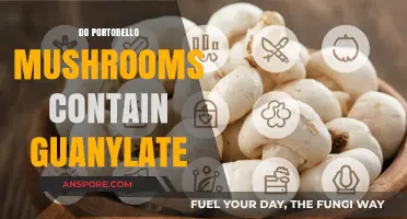Portobello Mushrooms and Guanylate: Uncovering the Nutrient Truth
