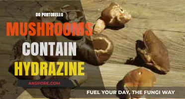 Portobello Mushrooms and Hydrazine: Uncovering the Truth About This Claim