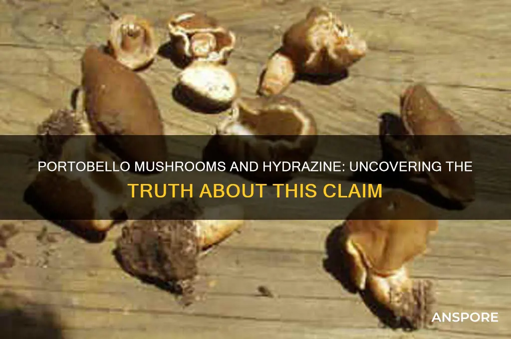do portobello mushrooms contain hydrazine
