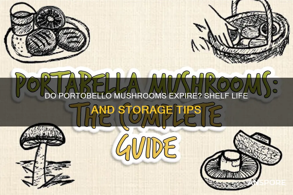 do portobello mushrooms expire