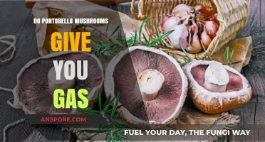 Do Portobello Mushrooms Cause Gas? Unraveling the Digestive Truth