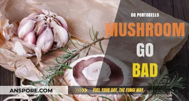 Do Portobello Mushrooms Go Bad? Shelf Life and Storage Tips