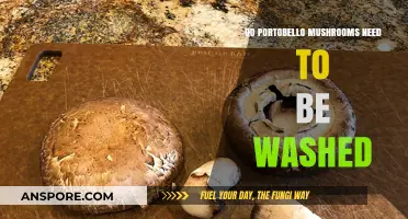 Should You Wash Portobello Mushrooms? A Complete Cleaning Guide