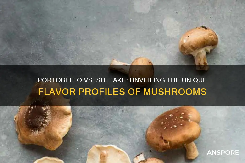do portobello mushrooms taste different from shiitake