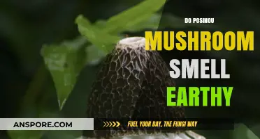 Posinou Mushrooms: Earthy Aroma, Powerful Benefits