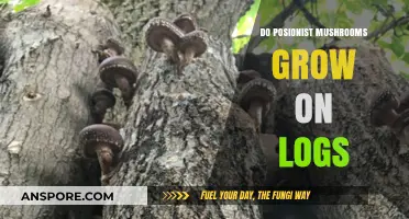 Do Poisonous Mushrooms Thrive on Logs? Unveiling the Truth