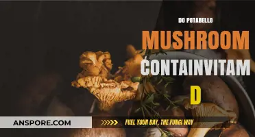 Mushroom Magic: Do Potabello Mushrooms Offer Vitamin D?