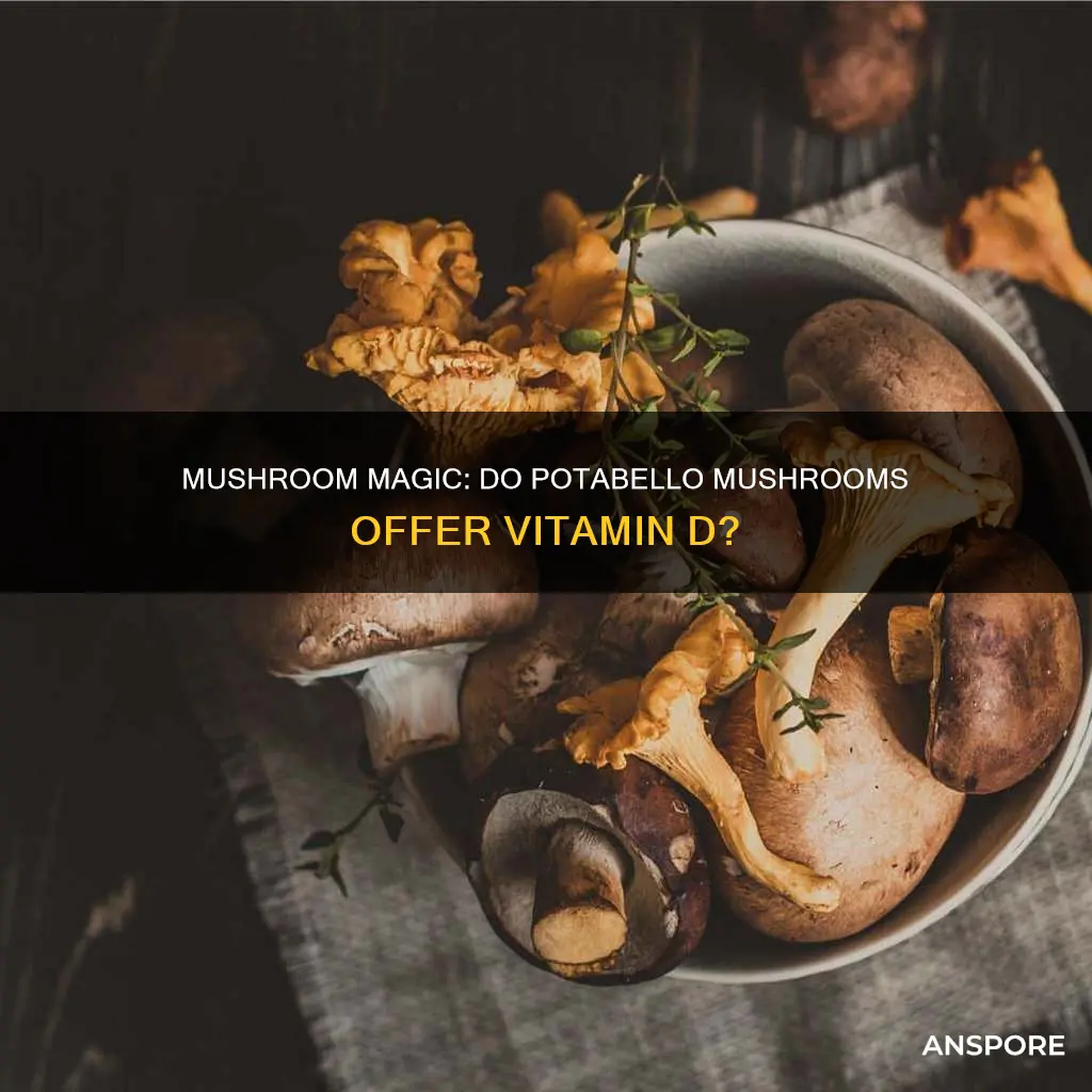 do potabello mushrooms containvitamin d