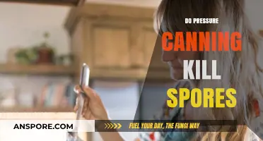 Can Pressure Canning Effectively Eliminate Spores in Home Food Preservation?