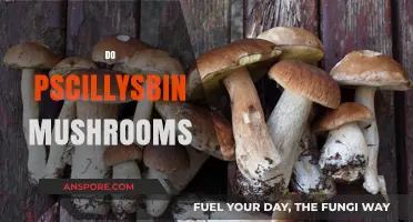 Magic Mushrooms: Unlocking the Power of Psilocybin