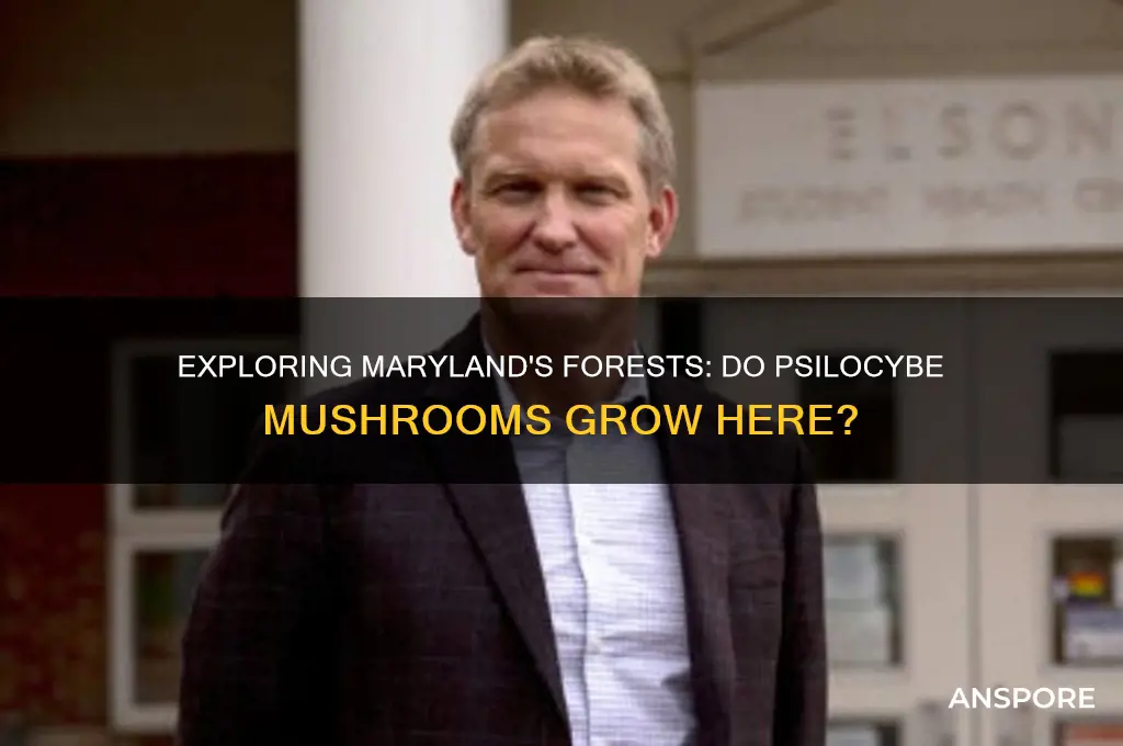 do psilocybe mushrooms grow in maryland