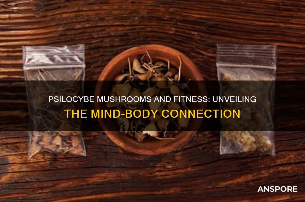 do psilocybe mushrooms make us fit